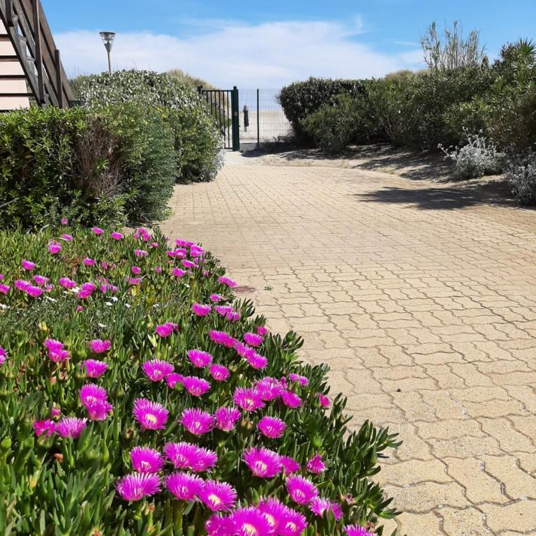 Plage de la Roquille - Apartamento de 1 dormitorio - 12