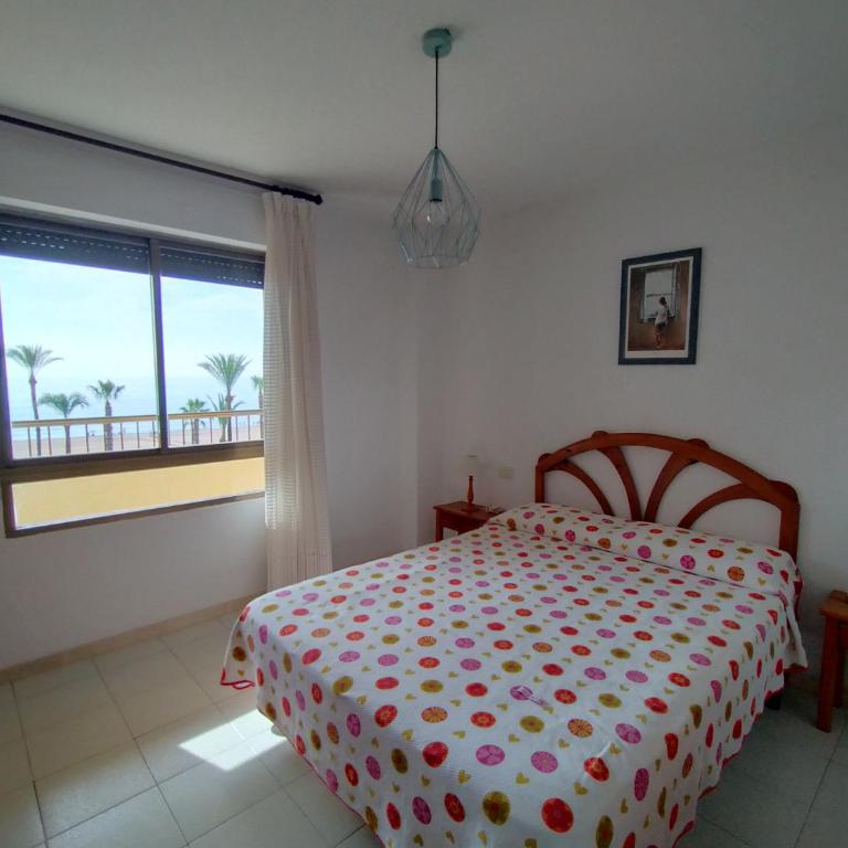 Apartamento en 1ª línea con piscina. Edificio Albatros II - Apartamento de 2 dormitorios - 24