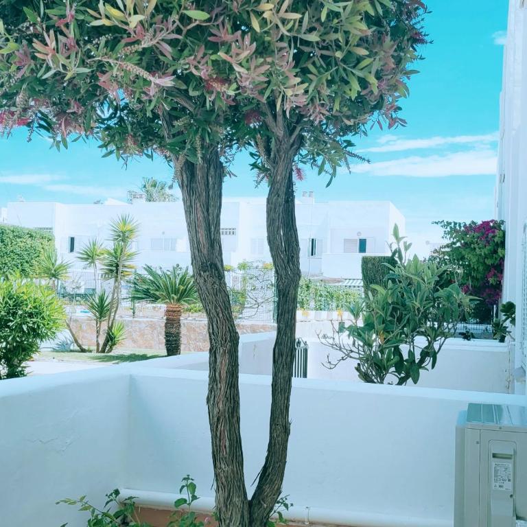 Casa a 400m de playa, 3 habitaciones, 2 baños y jardín - Apartment - 26
