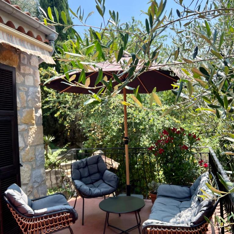 Entre Nice et Monaco grande Villa avec piscine privée 12 personnes - Villa - 28