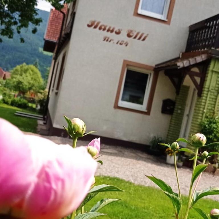 Haus Elli - Apartment mit 2 Schlafzimmern - 2