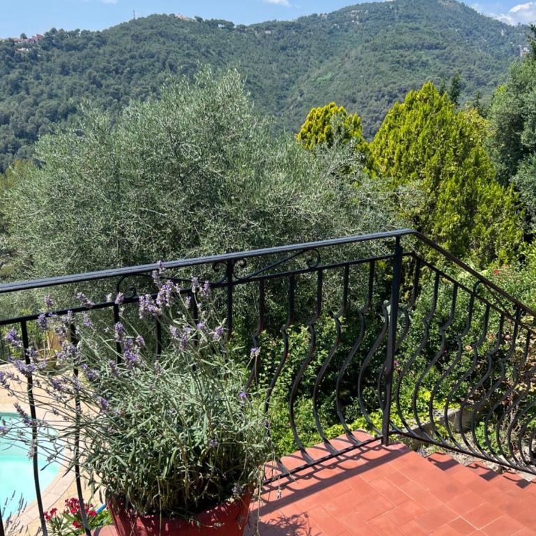 Entre Nice et Monaco grande Villa avec piscine privée 12 personnes - Villa - 37