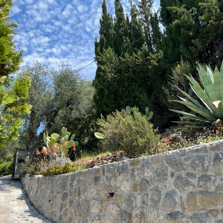 Entre Nice et Monaco grande Villa avec piscine privée 12 personnes - Villa - 33