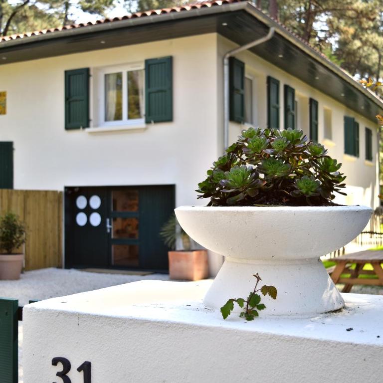 Nid de Ruben, Villa Hostal Naou Hossegor Wifi Netflix Sauna - Apartment mit 1 Schlafzimmer - 23