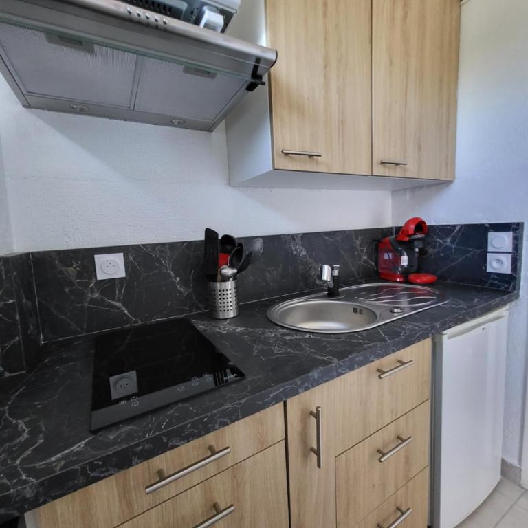 Plage Studio 5 personnes St cyprien 66750 - Appartamento con 1 Camera da Letto - 3