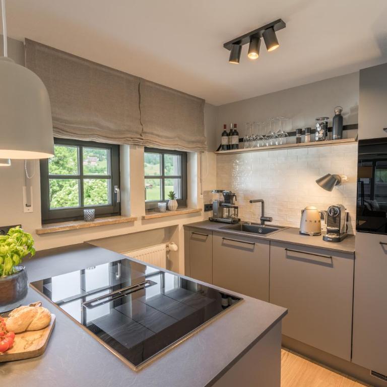 Bergwiesenblick - Apartment mit 1 Schlafzimmer - 4
