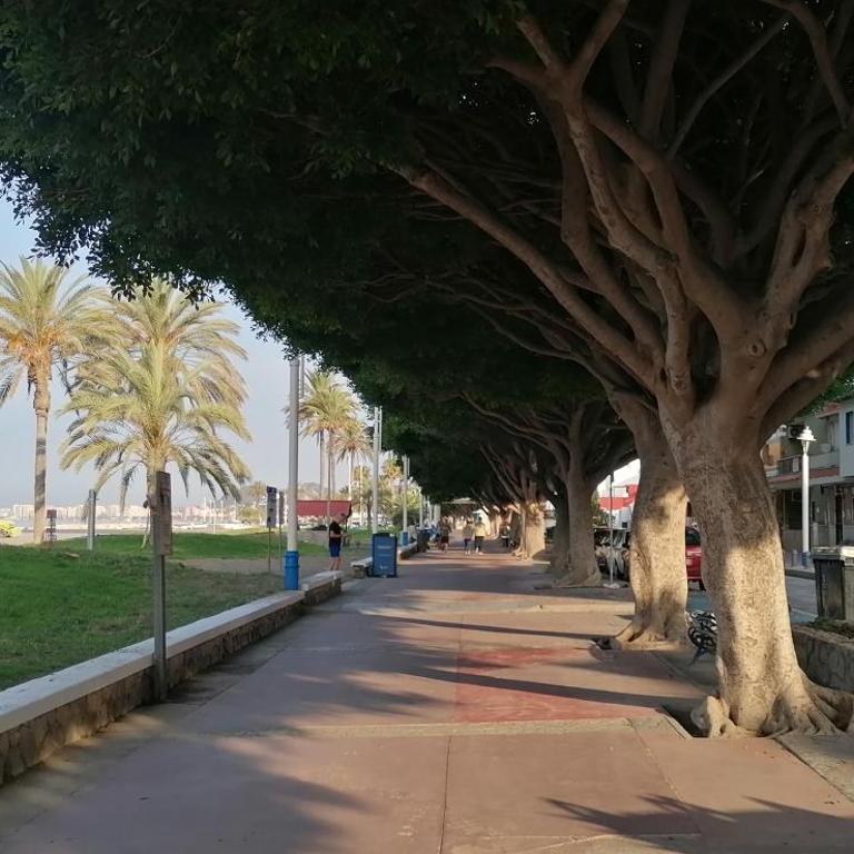 El Palo Cosy, 200 m from the beach - Apartamento de 2 dormitorios - 18