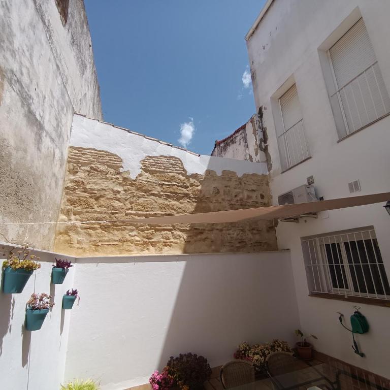 APARTAMENTO PALO CORTAO - Apartamento de 1 dormitorio con terraza - 48