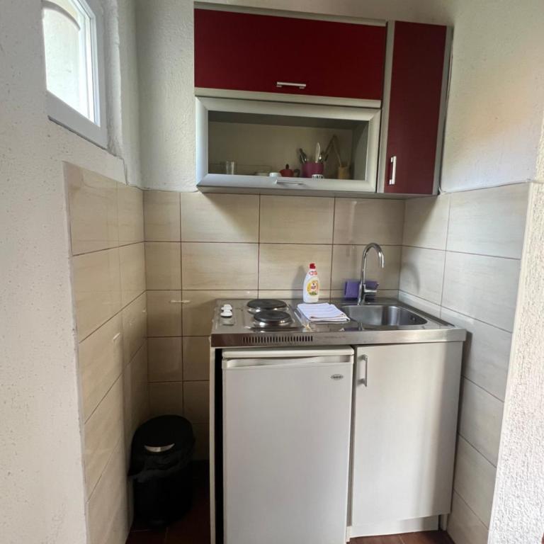 Ksenia Guesthouse Apartments and Studios - Bungalov sa Pogledom na Vrt - 13
