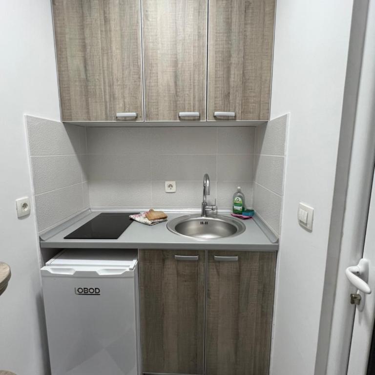 Ksenia Guesthouse Apartments and Studios - Apartman sa 1 Spavaćom Sobom - 20