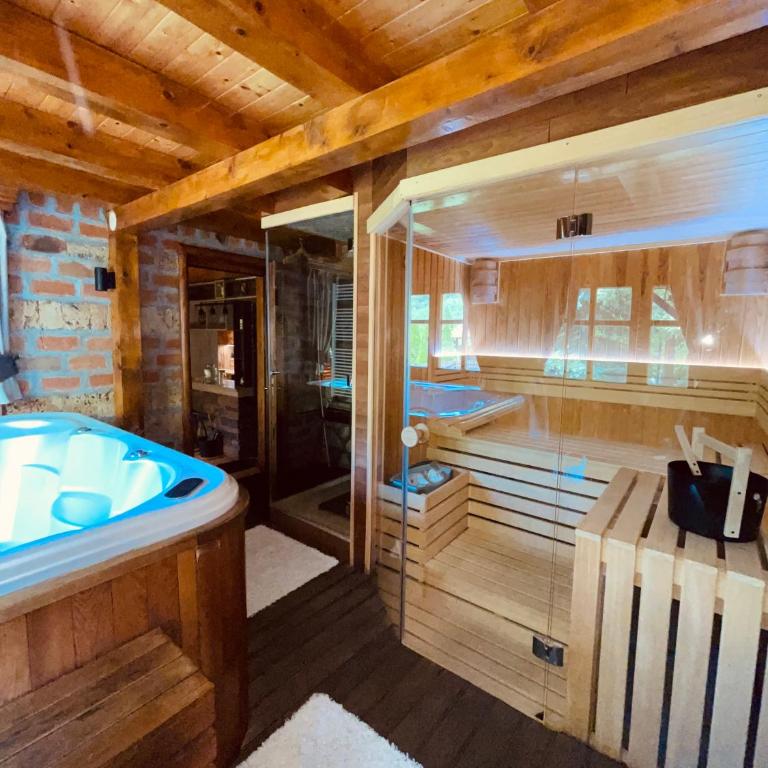Zlatibor Resort & Spa - Vila - 33