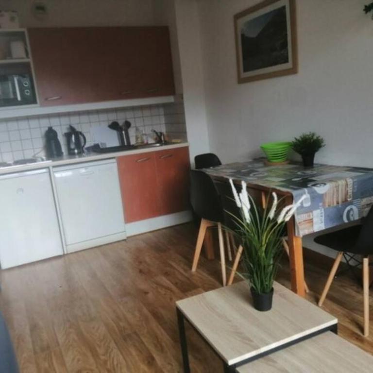 T2 Pied des pistes - Vue Écrins - Cosy & Équipé Famille - Apartamento de 1 dormitorio - 13