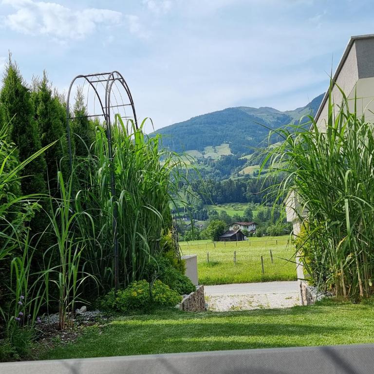 Golf & Ski Appartements Mittersill Trausmuth Monika inkl Sommercard - Golfplatz 500 m entfernt, inkl Waschmaschine, Trockner - Apartment - 43