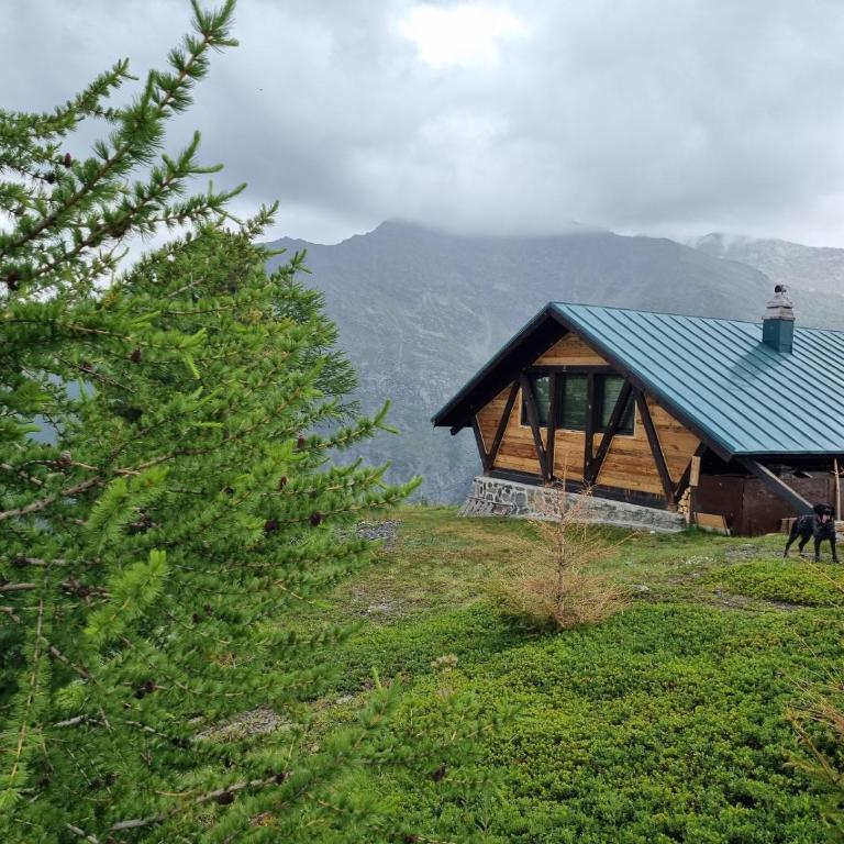 Le Chalet n 0082 - Chalet 2 Chambres - 3