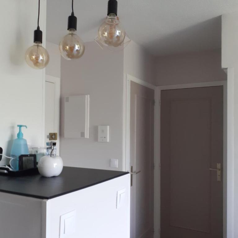 T2 Bord de mer avec jardin et piscine - One-Bedroom Apartment - 22