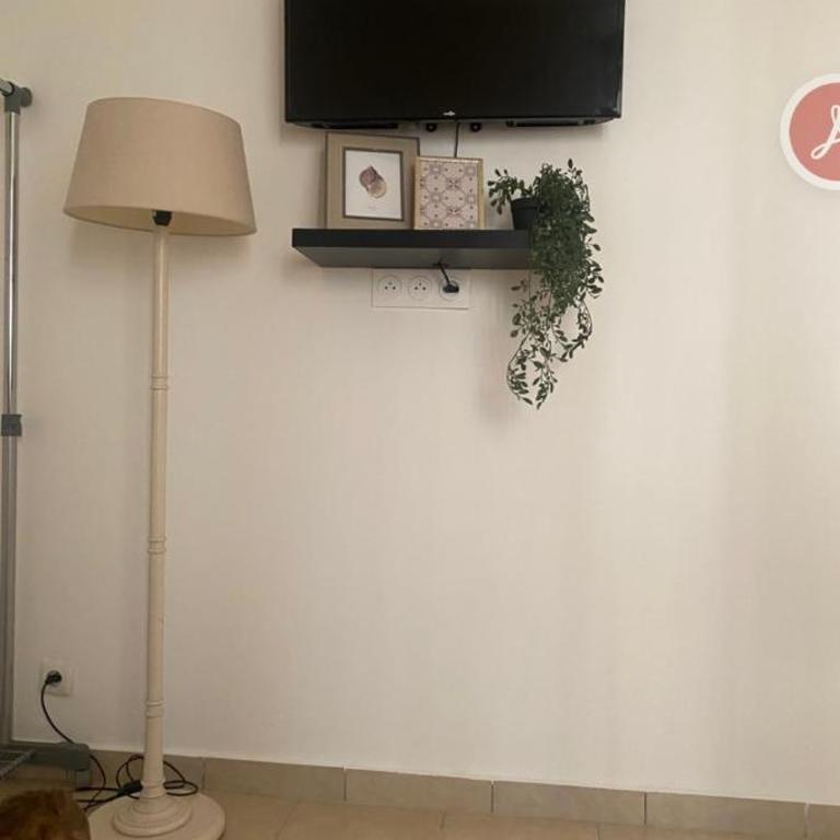 Charmant T1 à 5 min à pieds du centre ville ! - Appartamento con 1 Camera da Letto - 5