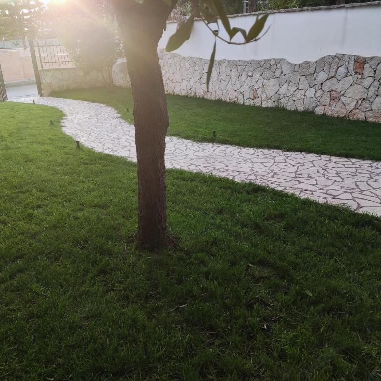 Villa Camilla Santa Maria al Bagno - Villa - 66