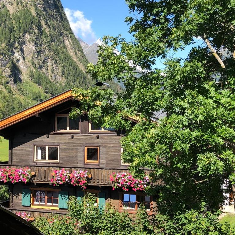 Bauernhof Stempf - Appartement "HOCHARN" - Apartment mit 2 Schlafzimmern - 19