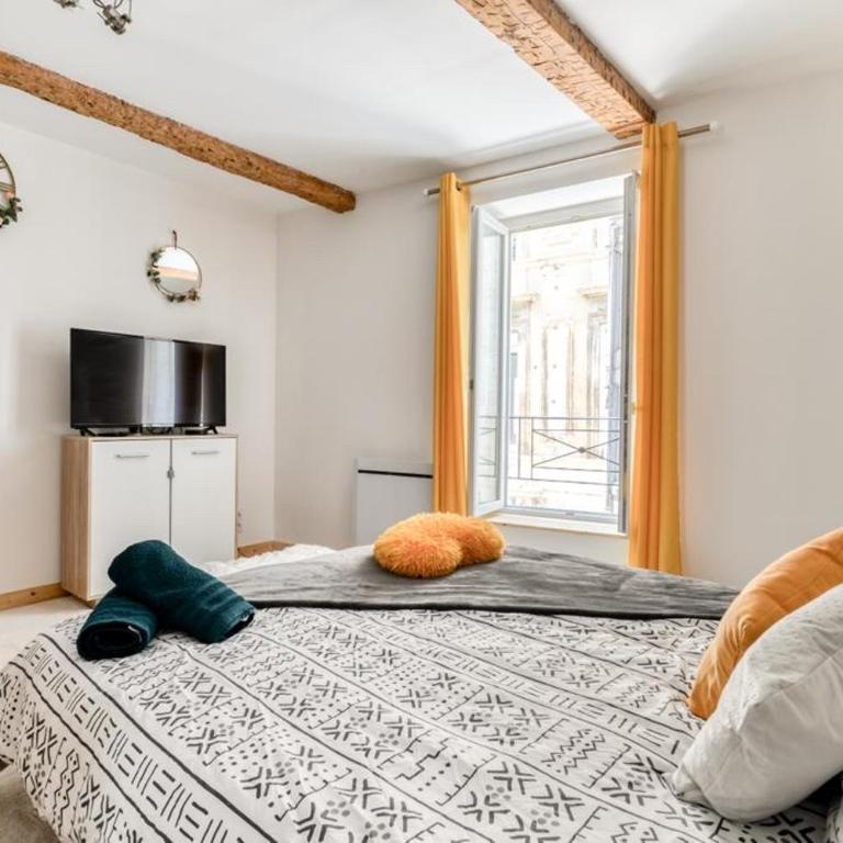 Soleil Sucré T2 Centre historique de Narbonne - Apartment mit 1 Schlafzimmer - 13