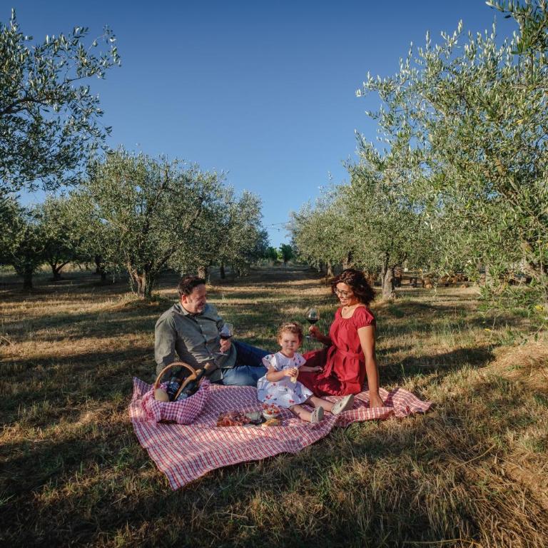 Lignanello Country House - Appartamento con 3 Camere da Letto - 6