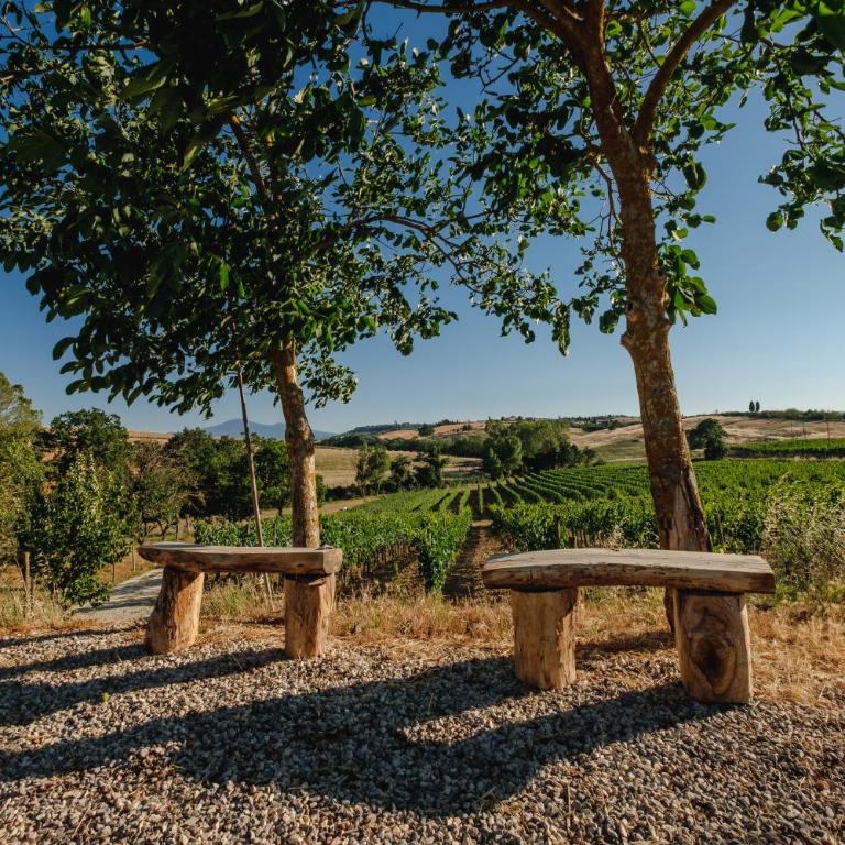 Lignanello Country House - Appartamento con 3 Camere da Letto - 12