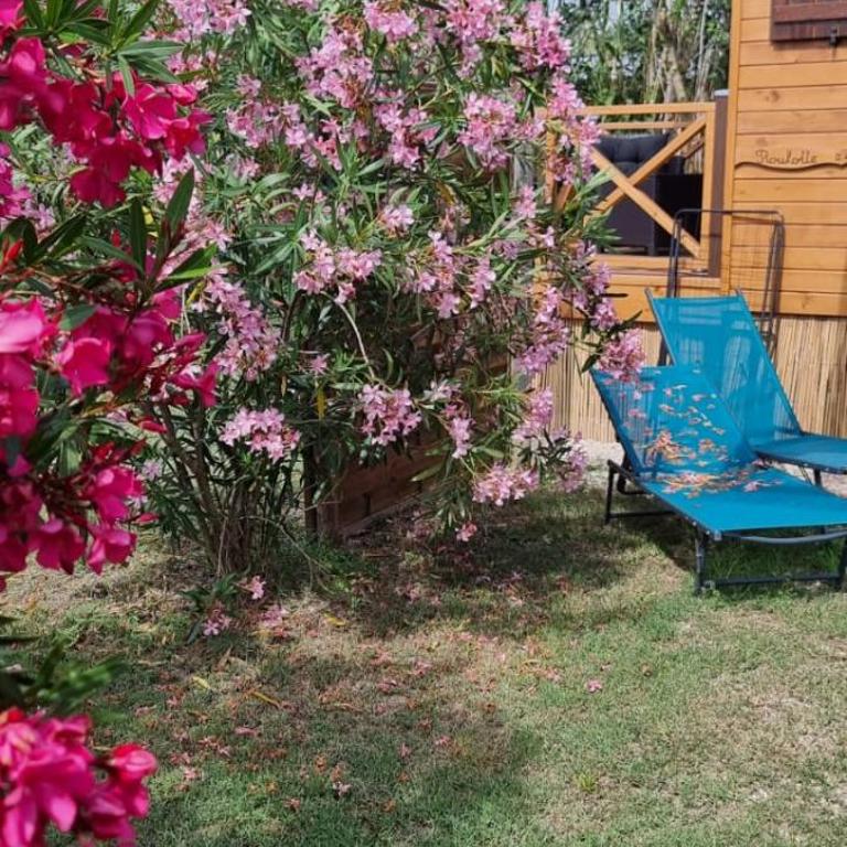 La Roulotte du Mas - One-Bedroom House - 3