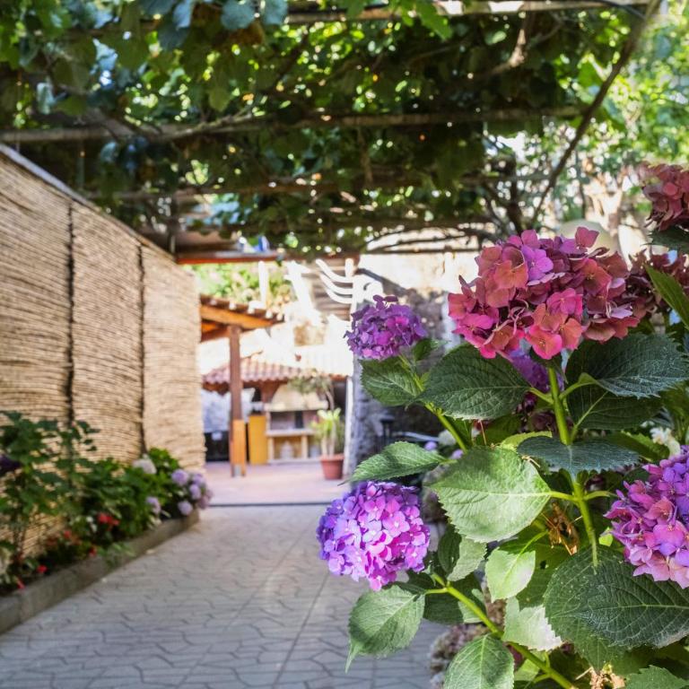 Villa La Natura (Private Room x3 With Parking) - One-Bedroom Apartment - 9