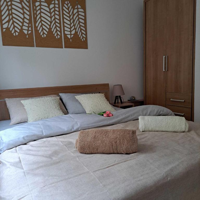 D&M Porodični apartman - Apartman sa 1 Spavaćom Sobom - 3