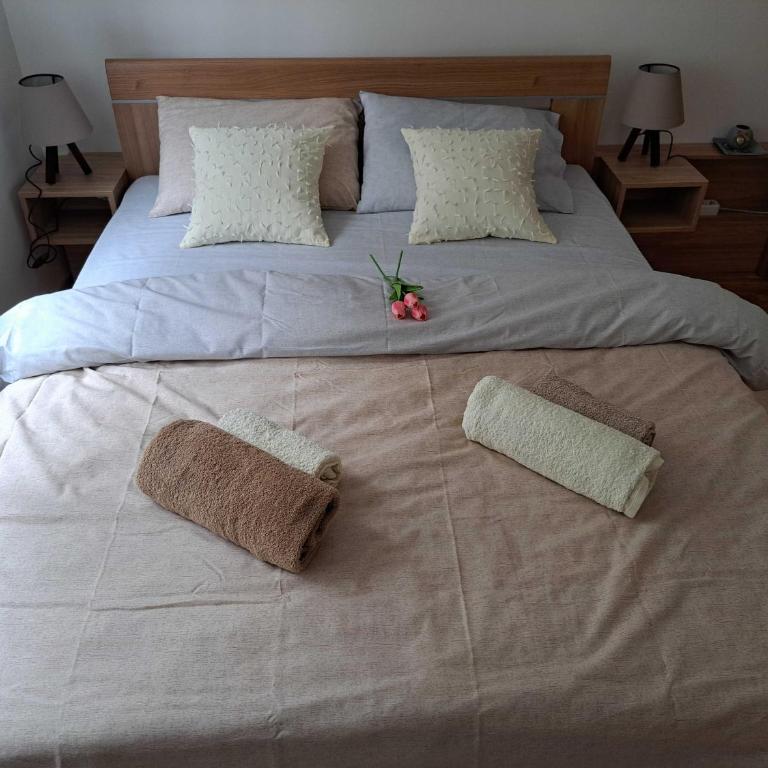 D&M Porodični apartman - Apartman sa 1 Spavaćom Sobom - 4