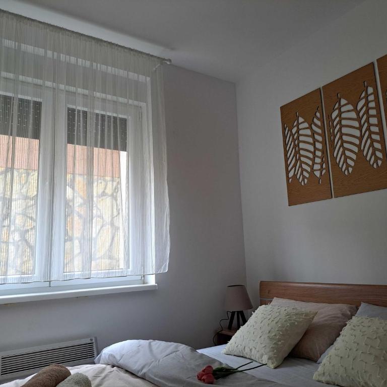 D&M Porodični apartman - Apartman sa 1 Spavaćom Sobom - 5