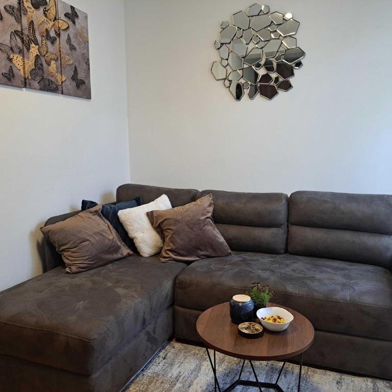 D&M Porodični apartman - Apartman sa 1 Spavaćom Sobom - 25