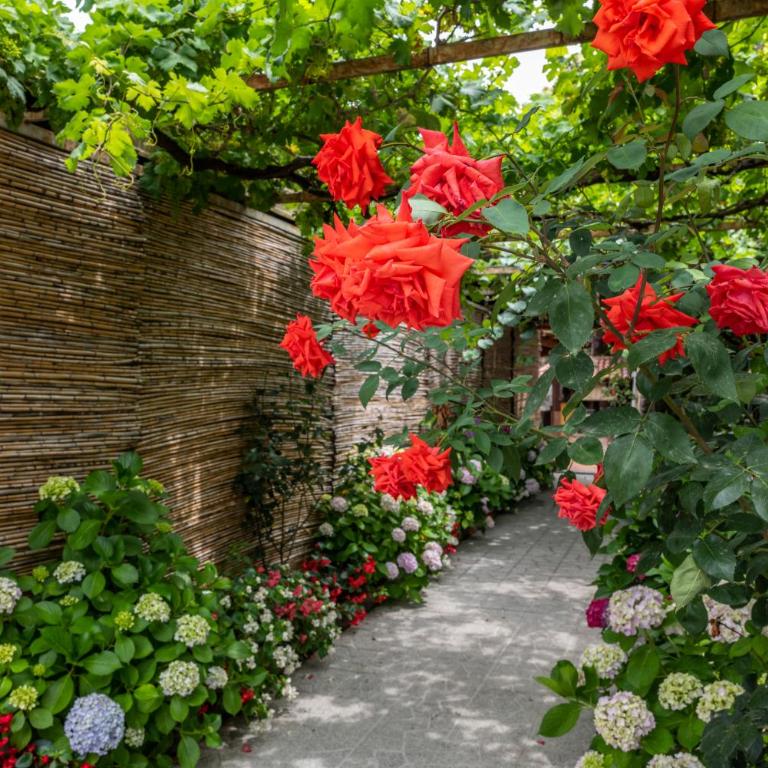 Villa La Natura x9 Whole villa with private parking - Appartamento - 15