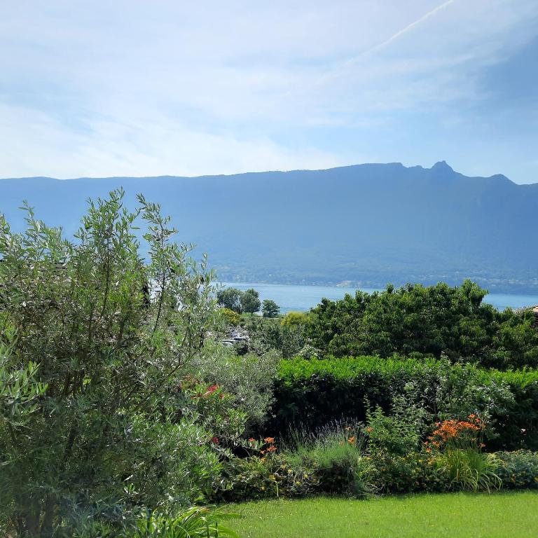 Le Lac - Appartement - 1