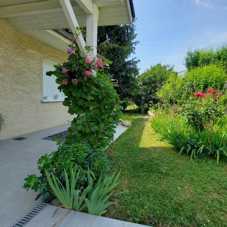 Le Lac - Appartement - 21