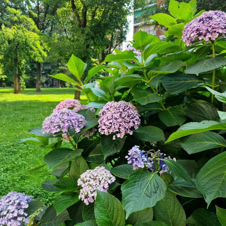 Giardino sul Naviglio - Appartamento con 2 Camere da Letto - 17