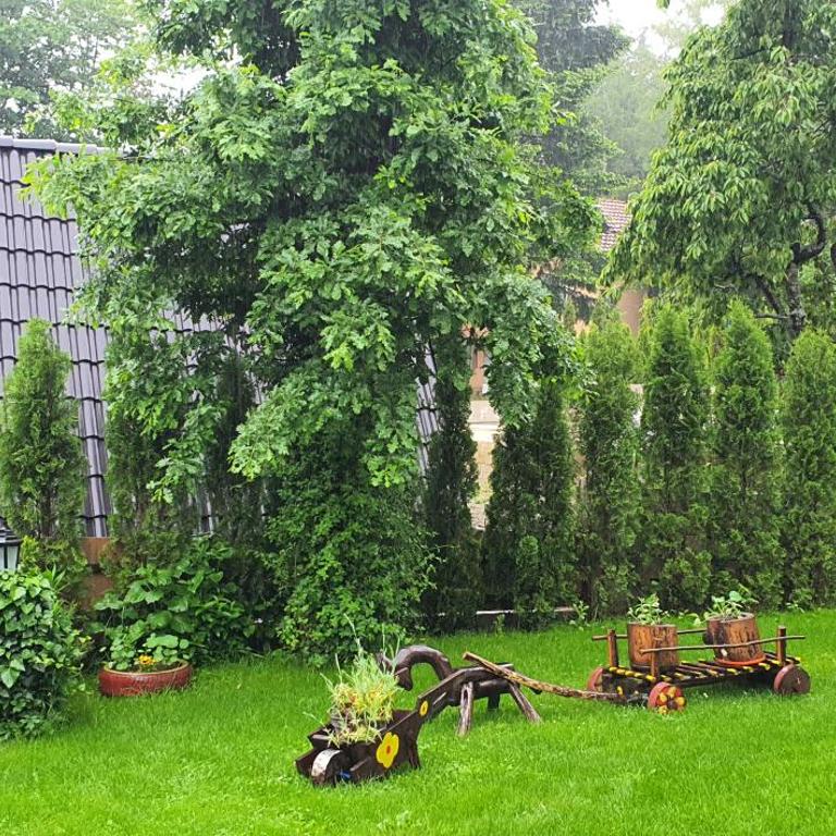 AB Apartments - Apartman - 16