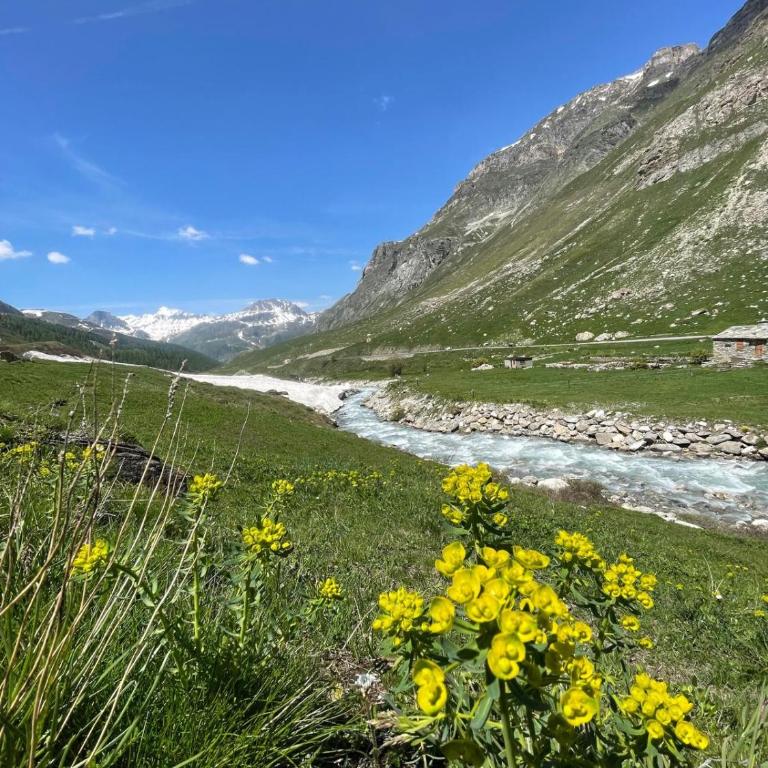 Le 1888 Val d'Isère - Appartement 1 Chambre - 44