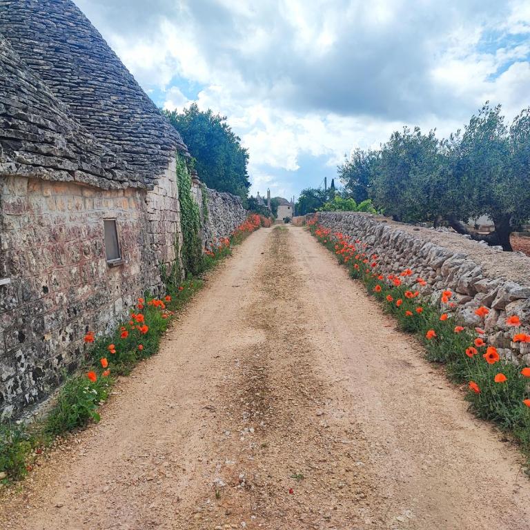 Trullo il Zippo in Zippitello - Casa con 3 Camere da Letto - 16