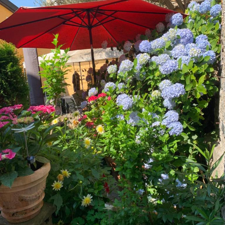 Ferienhaus, Rustico Auf Burg - Appartamento con 2 Camere da Letto - 14