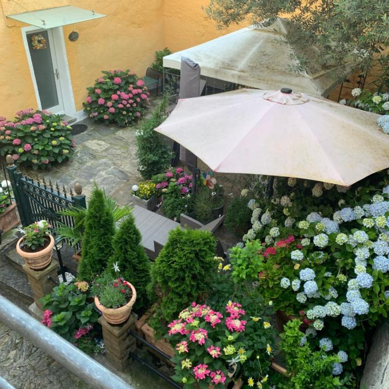 Ferienhaus, Rustico Auf Burg - Appartamento con 2 Camere da Letto - 1