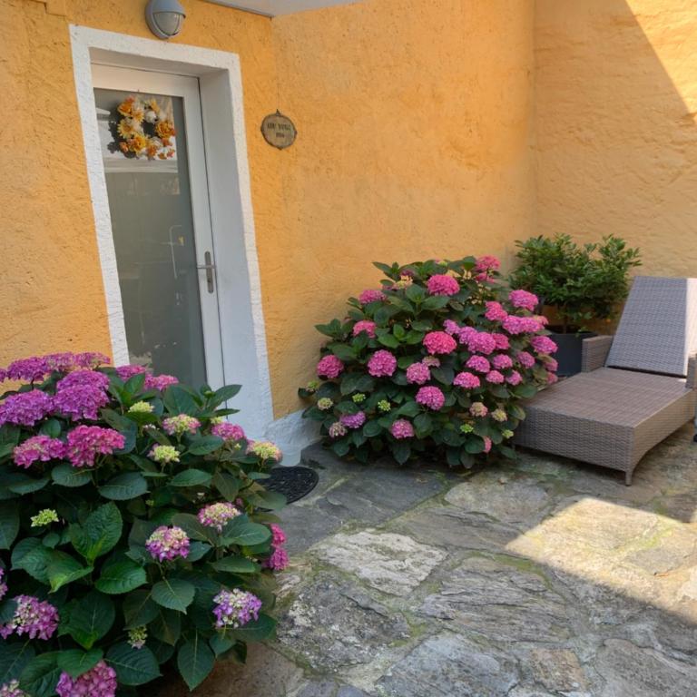 Ferienhaus, Rustico Auf Burg - Appartamento con 2 Camere da Letto - 13