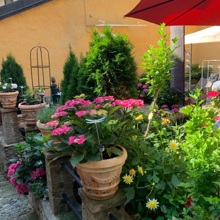 Ferienhaus, Rustico Auf Burg - Appartamento con 2 Camere da Letto - 11