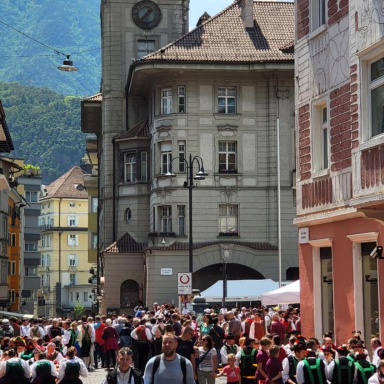 Bolzano 2-Room Central Mountain View, WiFi Netflix AC Lift - One-Bedroom Apartment - 5