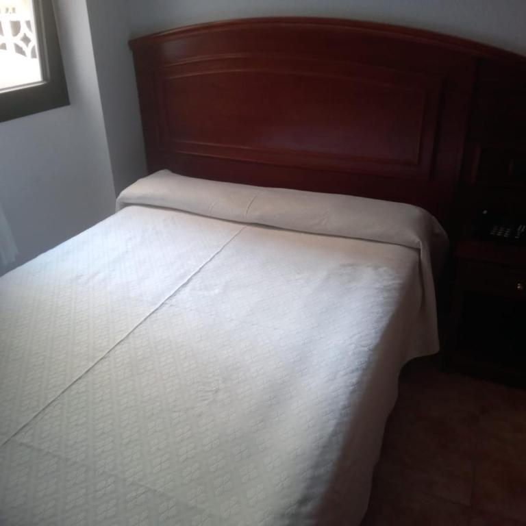Hotel Tropical - Habitación Individual Económica - 14