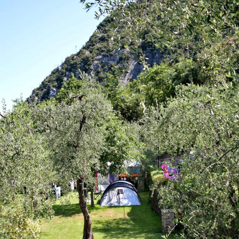 Camping Alpino - Nature Village - Empty Lot (Bring your own tent) - 6