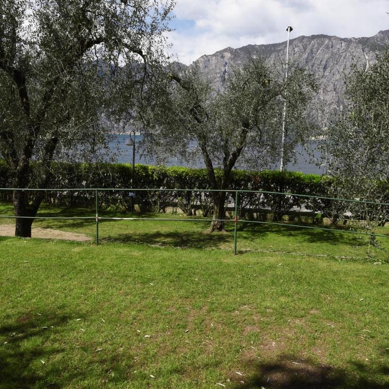 Camping Alpino - Nature Village - Medium Empty Lot (Bring your own tent or van) - 5