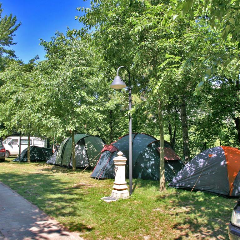 Camping Alpino - Nature Village - Large Empty Lot (Bring your own tent or camper) - 6