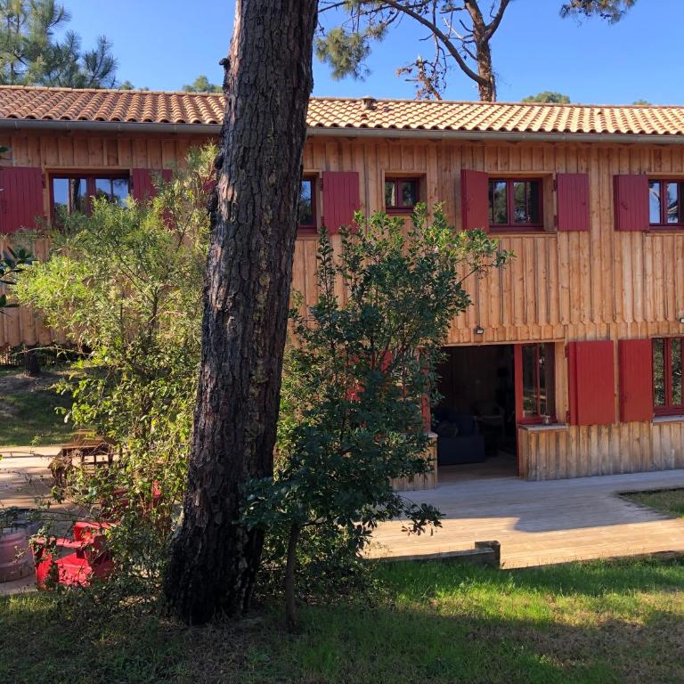 Maison bois 10 pers CapFerret Plage des Américains - Villa - 13
