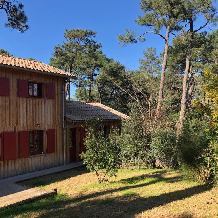 Maison bois 10 pers CapFerret Plage des Américains - Villa - 16