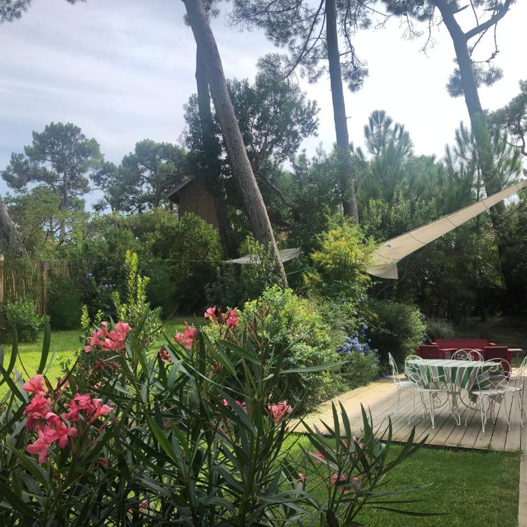 Maison bois 10 pers CapFerret Plage des Américains - Villa - 18